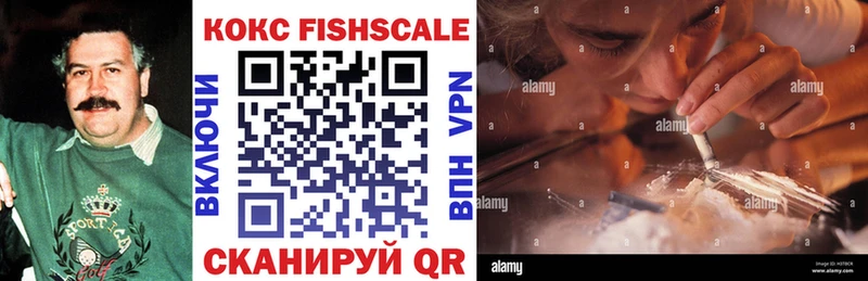 купить наркотик  Малая Вишера  COCAIN FishScale 