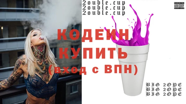 СК Новодвинск