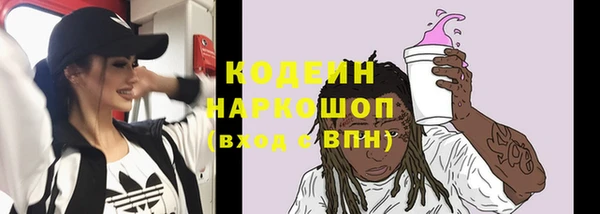 СК Новодвинск
