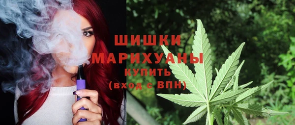 СК Новодвинск