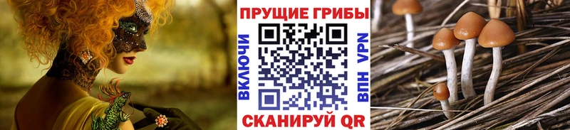 Псилоцибиновые грибы MAGIC MUSHROOMS  цена   Малая Вишера 